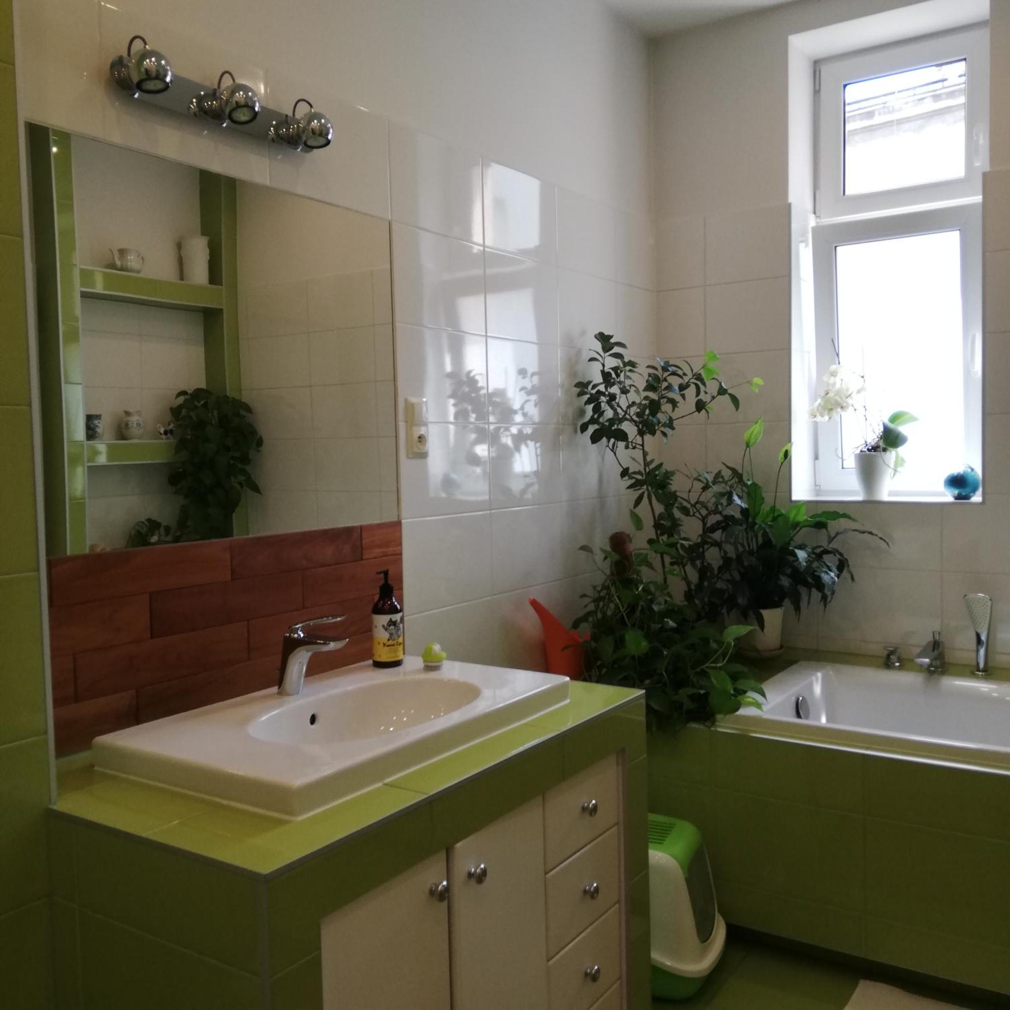 Botaniczny Pokoj 크라쿠프 외부 사진